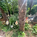 Oaza 아파트 크리크베니카